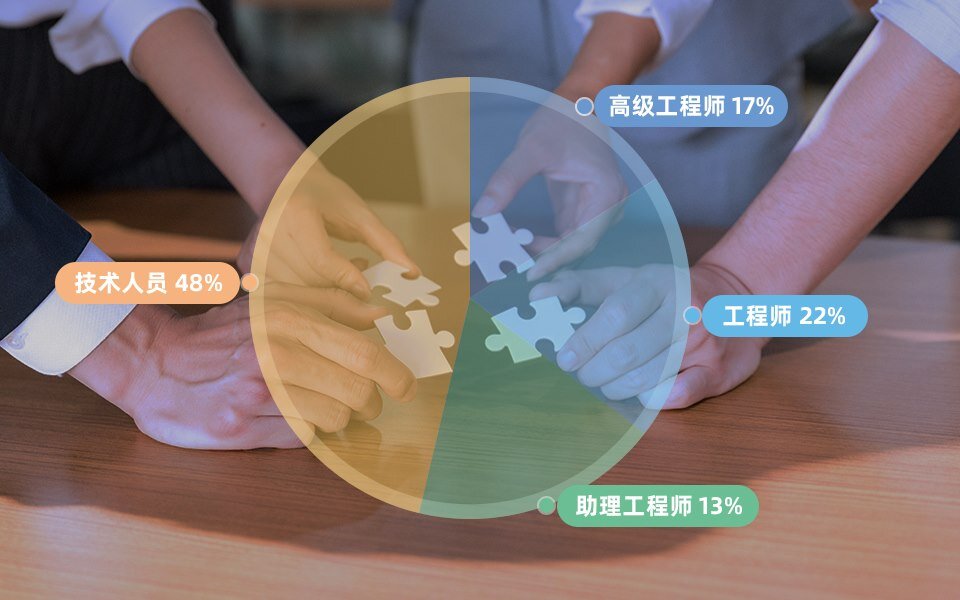 人才优势